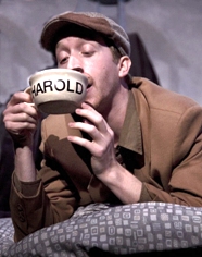 Harold_cup_mockup(2) Jimi Kocina as Harold the dog; Photo: Amy Sinclair